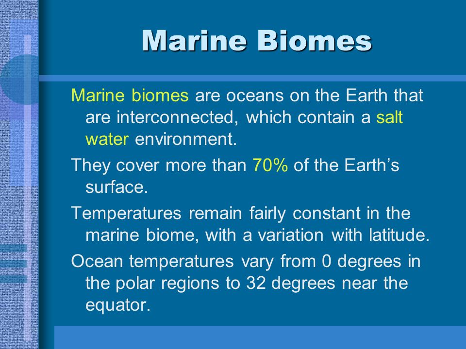 Aquatic Biomes Science Video Aquatic Biome Assignment Discovery Aquatic Biomes Video Htm Ppt Download