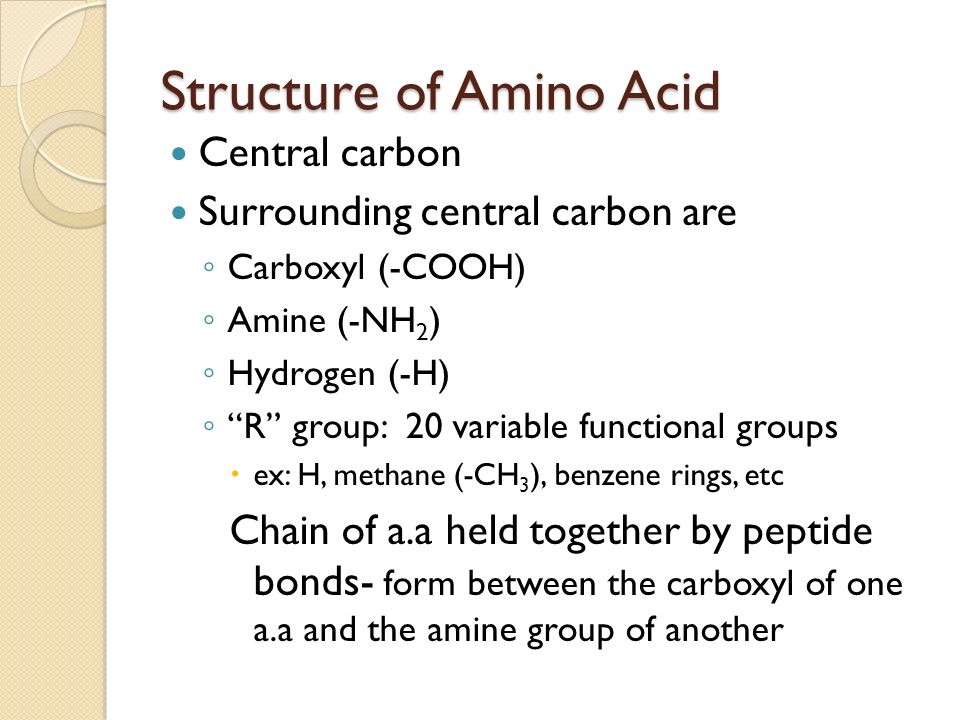 Structure of Amino Acid Central carbon Surrounding central carbon are ◦ Carboxyl (-COOH) ◦ Amine (-NH 2 ) ◦ Hydrogen (-H) ◦ R group: 20 variable functional groups  ex: H, methane (-CH 3 ), benzene rings, etc Chain of a.a held together by peptide bonds- form between the carboxyl of one a.a and the amine group of another