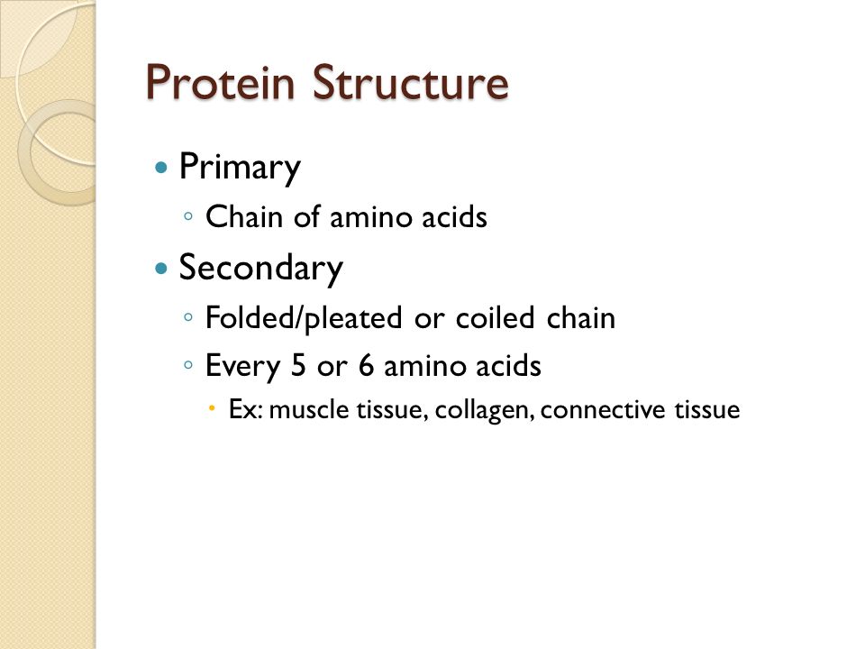 Protein Structure Primary ◦ Chain of amino acids Secondary ◦ Folded/pleated or coiled chain ◦ Every 5 or 6 amino acids  Ex: muscle tissue, collagen, connective tissue