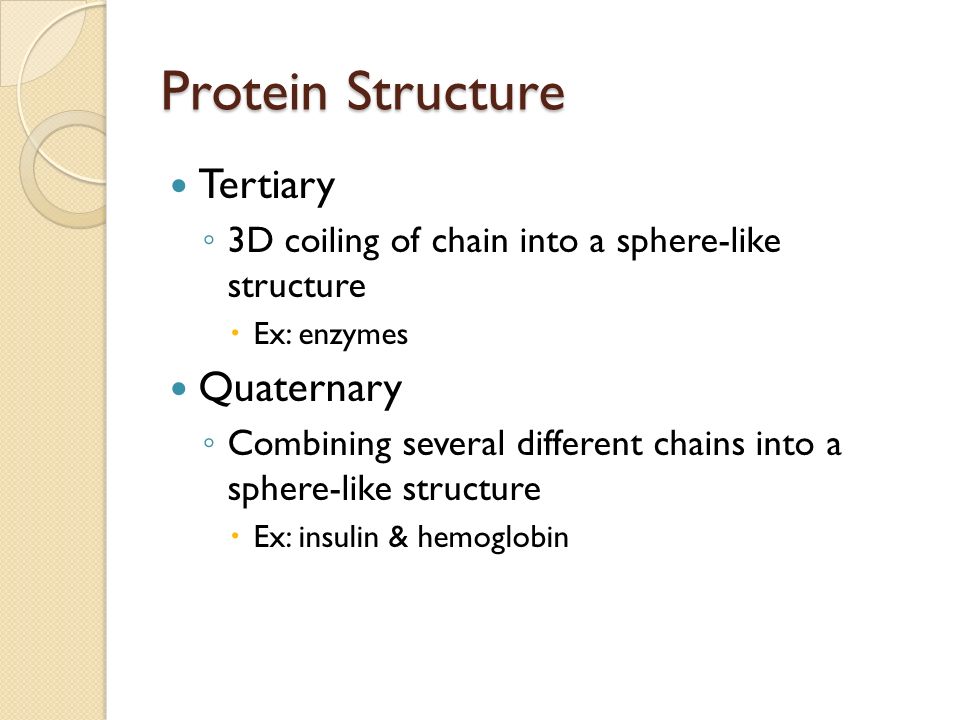 Protein Structure Tertiary ◦ 3D coiling of chain into a sphere-like structure  Ex: enzymes Quaternary ◦ Combining several different chains into a sphere-like structure  Ex: insulin & hemoglobin