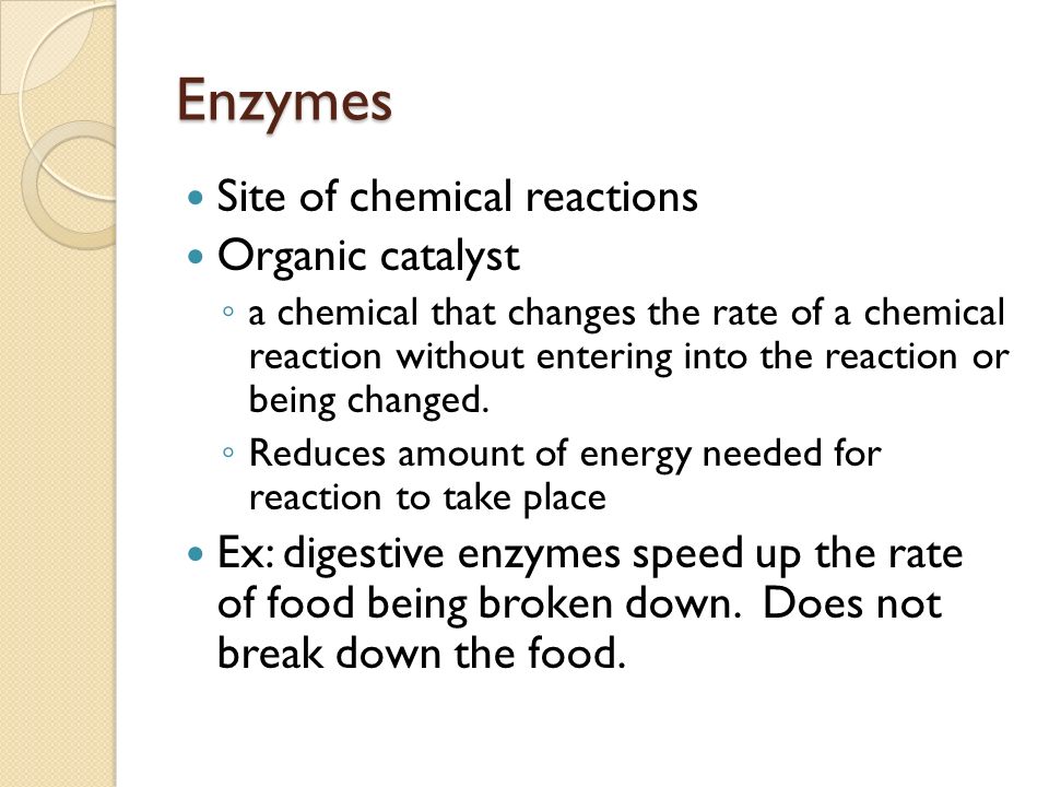 Enzymes Site of chemical reactions Organic catalyst ◦ a chemical that changes the rate of a chemical reaction without entering into the reaction or being changed.