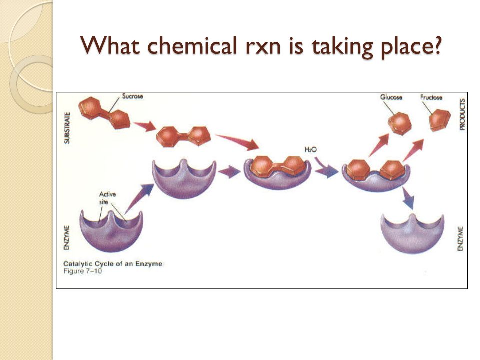 What chemical rxn is taking place