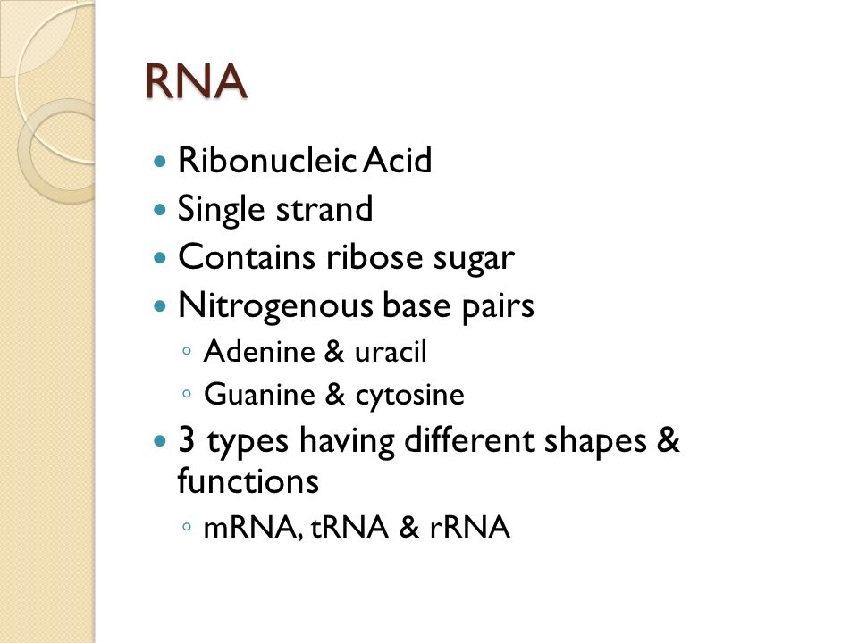 RNA Ribonucleic Acid Single strand Contains ribose sugar Nitrogenous base pairs ◦ Adenine & uracil ◦ Guanine & cytosine 3 types having different shapes & functions ◦ mRNA, tRNA & rRNA