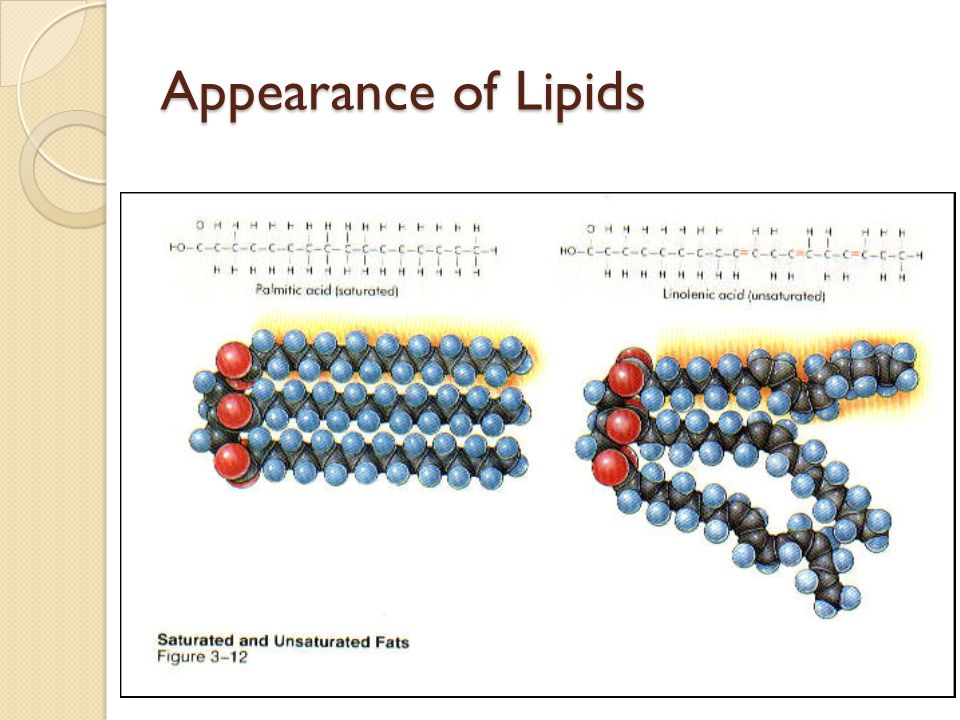 Appearance of Lipids