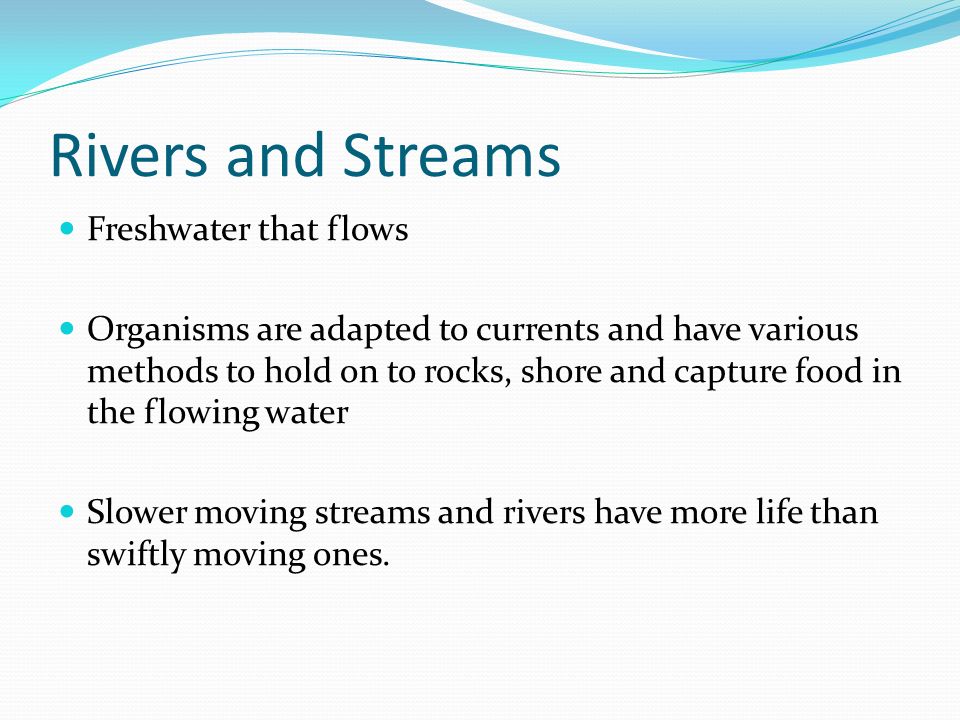 Rivers and Streams Freshwater that flows Organisms are adapted to currents and have various methods to hold on to rocks, shore and capture food in the flowing water Slower moving streams and rivers have more life than swiftly moving ones.