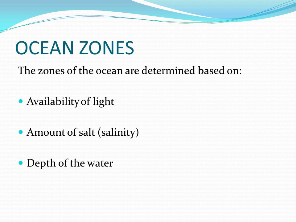 OCEAN ZONES The zones of the ocean are determined based on: Availability of light Amount of salt (salinity) Depth of the water