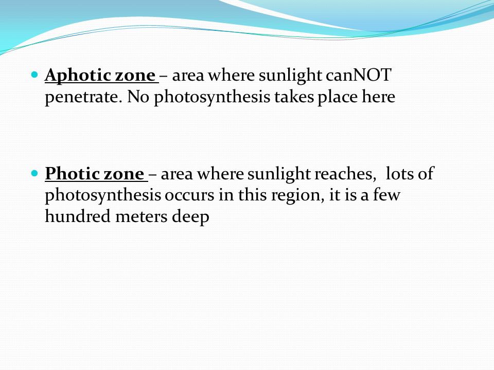 Aphotic zone – area where sunlight canNOT penetrate.