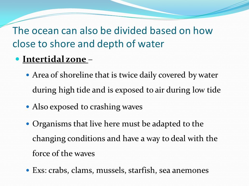 The ocean can also be divided based on how close to shore and depth of water Intertidal zone – Area of shoreline that is twice daily covered by water during high tide and is exposed to air during low tide Also exposed to crashing waves Organisms that live here must be adapted to the changing conditions and have a way to deal with the force of the waves Exs: crabs, clams, mussels, starfish, sea anemones