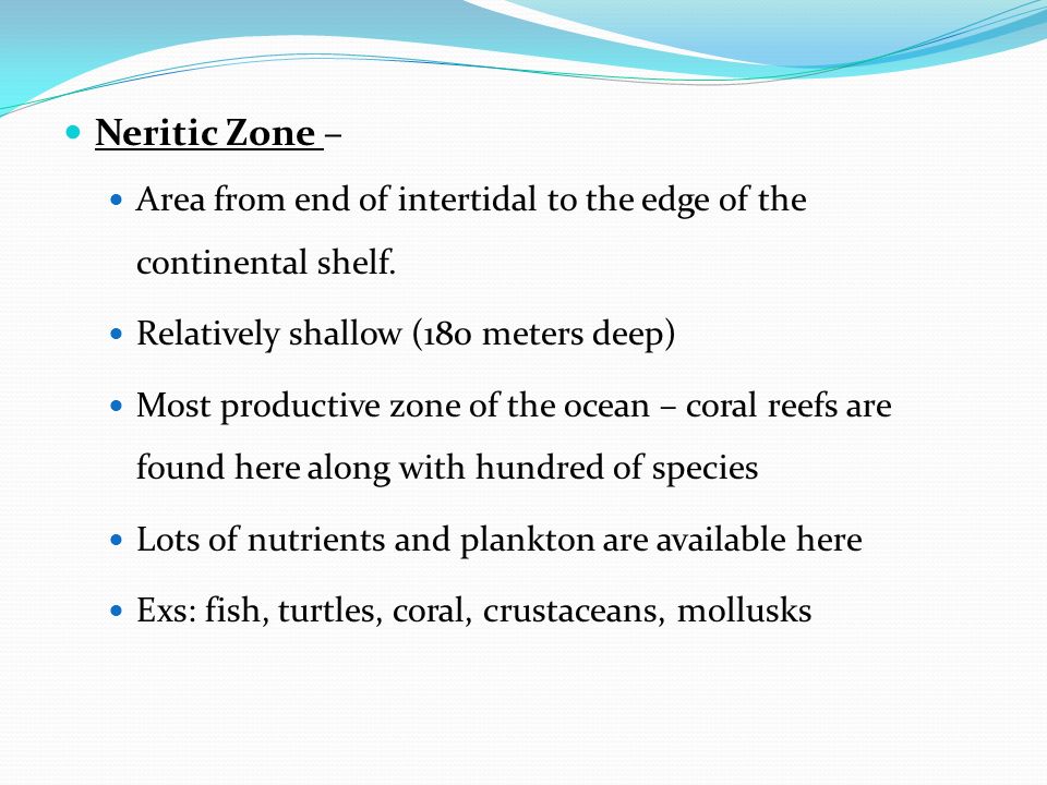 Neritic Zone – Area from end of intertidal to the edge of the continental shelf.