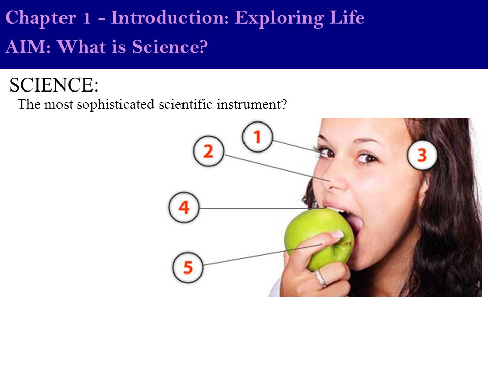 Textbook Chapter 1 - Introduction: Exploring Life Summer Assn. -  ppt download