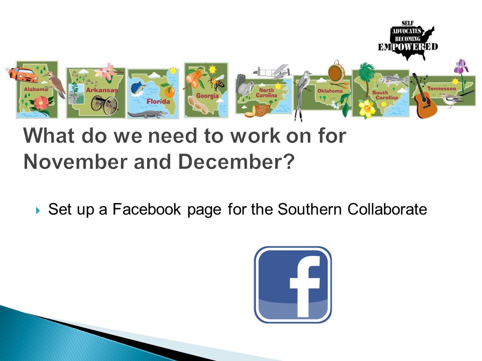  Set up a Facebook page for the Southern Collaborate