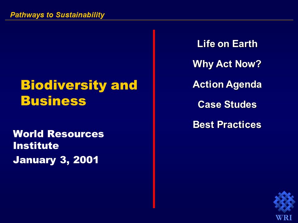 WRI Biodiversity and Business World Resources Institute January 3, 2001 Pathways to Sustainability Life on Earth Why Act Now.