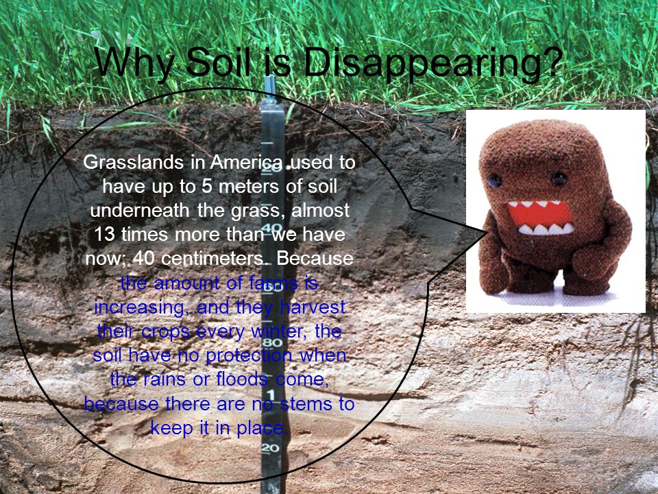 Why Soil is Disappearing.