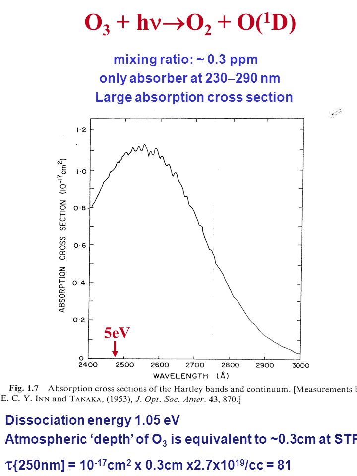 O 3 + h  O 2 + O( 1 D) mixing ratio: ~ 0.3 ppm only absorber at 230  290 nm Large absorption cross section Dissociation energy 1.05 eV Atmospheric ‘depth’ of O 3 is equivalent to ~0.3cm at STP:  {250nm] = cm 2 x 0.3cm x2.7x10 19 /cc = 81 5eV