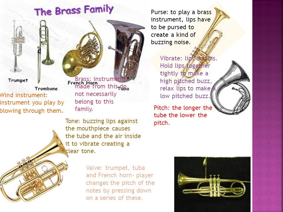 Which instrument has top the lowest pitch