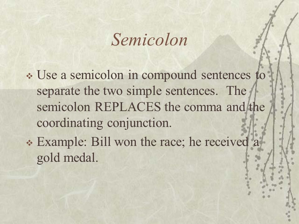 Semicolon  Use a semicolon in compound sentences to separate the two simple sentences.