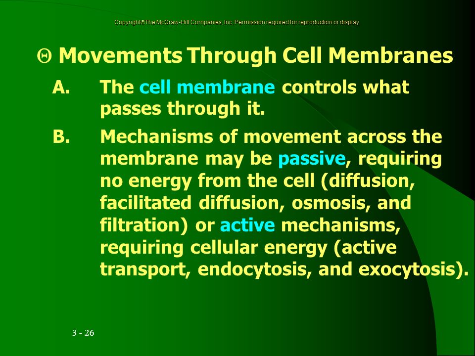  Movements Through Cell Membranes A.The cell membrane controls what passes through it.