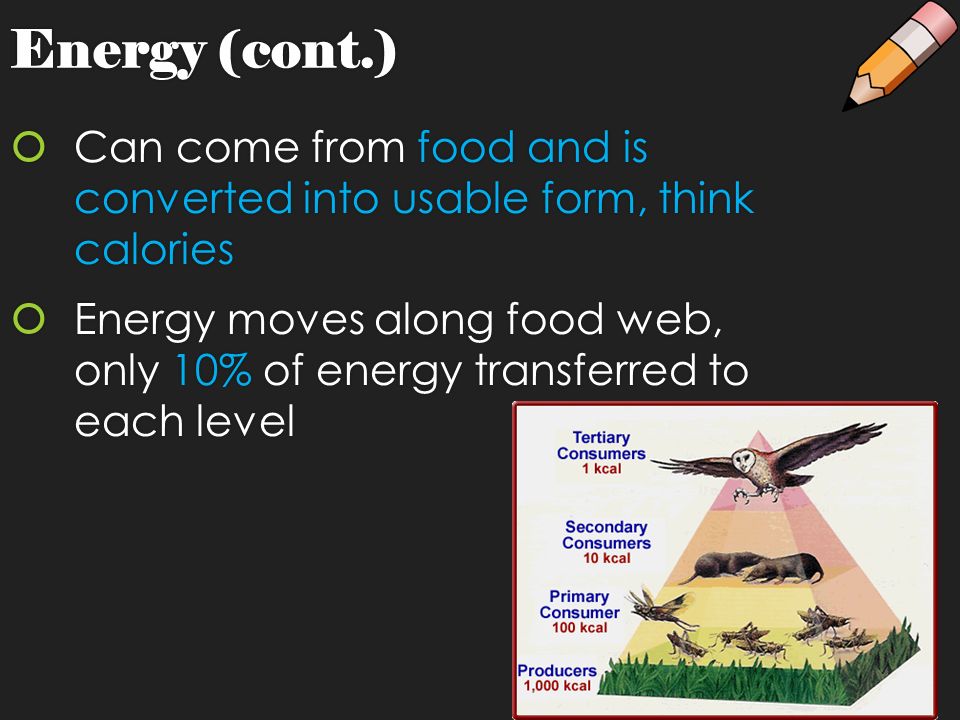 Energy (cont.)  Can come from food and is converted into usable form, think calories  Energy moves along food web, only 10% of energy transferred to each level