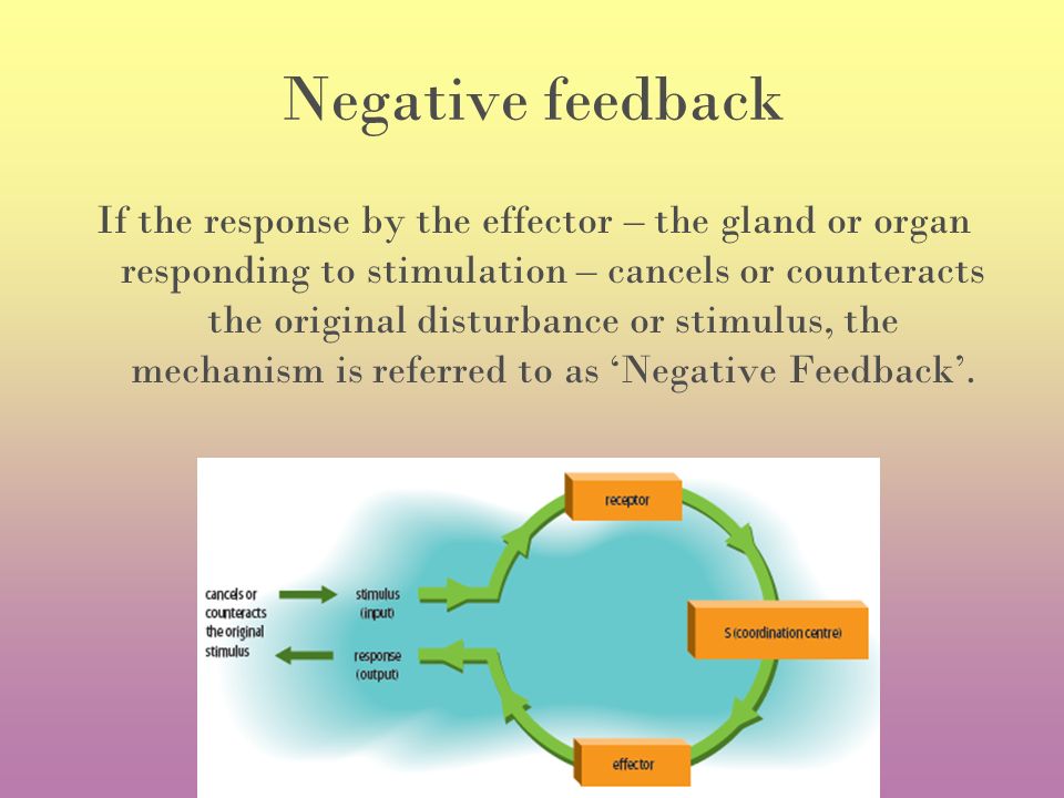 Negative feedback If the response by the effector – the gland or organ responding to stimulation – cancels or counteracts the original disturbance or stimulus, the mechanism is referred to as ‘Negative Feedback’.