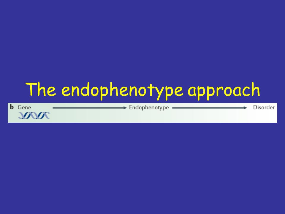 The endophenotype approach
