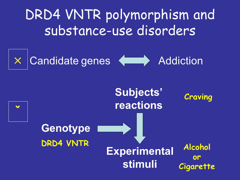 DRD4 VNTR polymorphism and substance-use disorders Candidate genesAddiction  ˇ Subjects’ reactions Experimental stimuli Genotype Craving Alcohol or Cigarette DRD4 VNTR