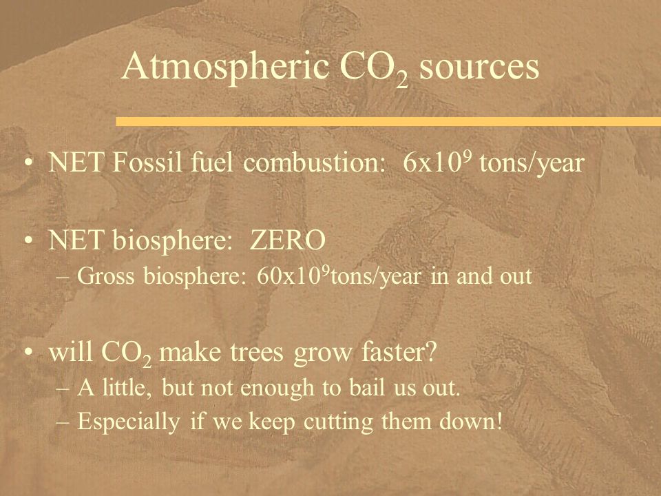 Atmospheric CO 2 sources NET Fossil fuel combustion: 6x10 9 tons/year NET biosphere: ZERO –Gross biosphere: 60x10 9 tons/year in and out will CO 2 make trees grow faster.