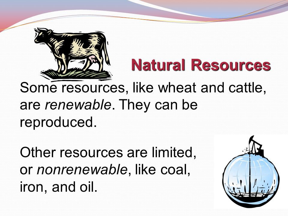 Natural Resources Some resources, like wheat and cattle, are renewable.