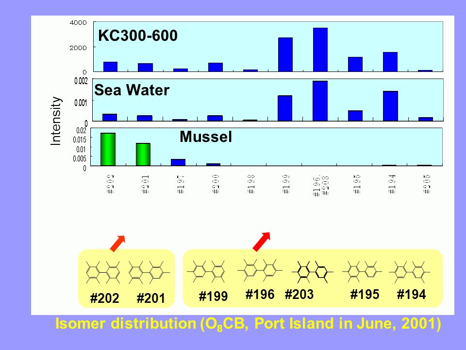 Isomer distribution (O 8 CB, Port Island in June, 2001) KC Sea Water Mussel Intensity #202#201 #196 #203#194#195 #199