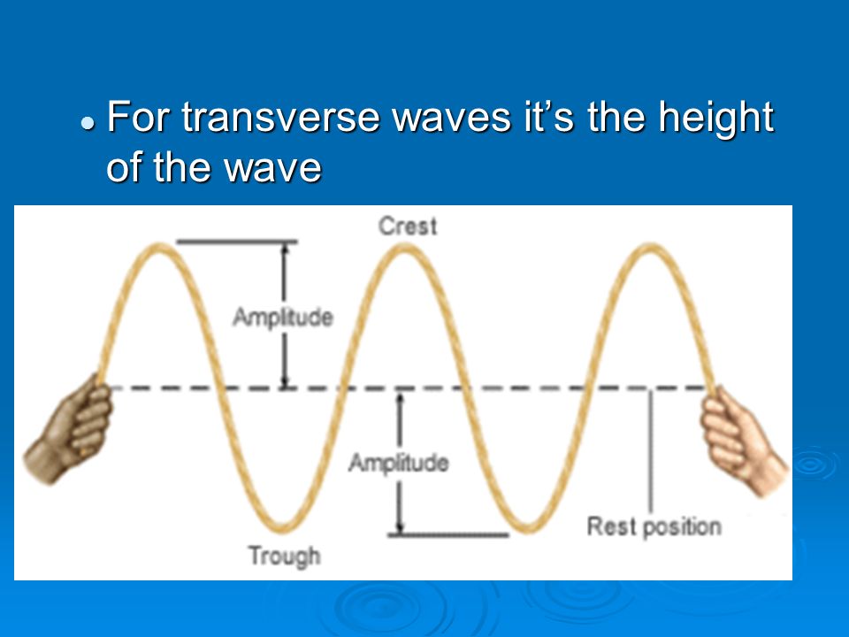 Amplitude and Energy  Amplitude – the energy carried by a wave or how high the wave is; related to the amount of energy For compressional waves it’s the amount of compression in the wave For compressional waves it’s the amount of compression in the wave Example: The higher the wave, the more energy (THINK on ocean waves) Example: The higher the wave, the more energy (THINK on ocean waves)