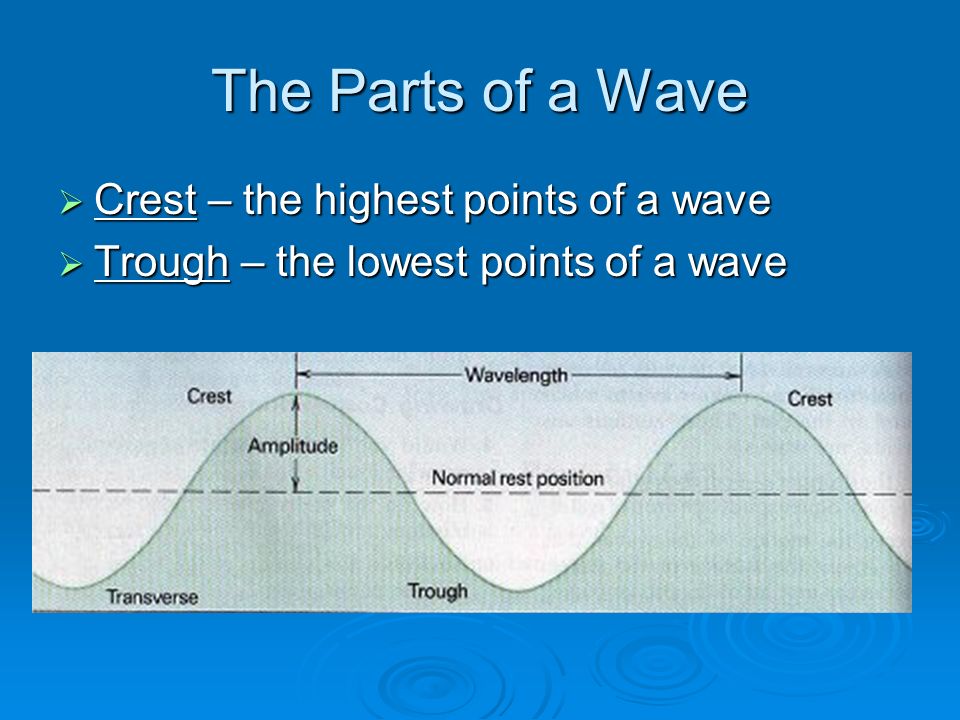 Seismic Waves SSSSeismic waves – combination of transverse and compressional waves which carry energy along and through Earth