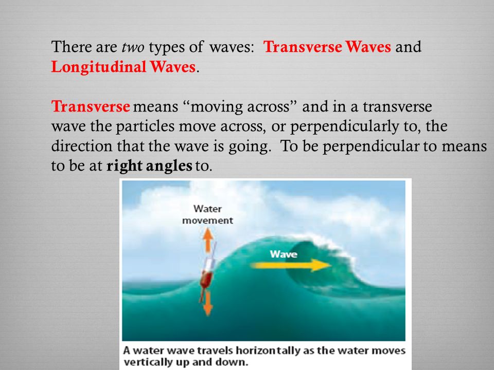 There are two types of waves: Transverse Waves and Longitudinal Waves.