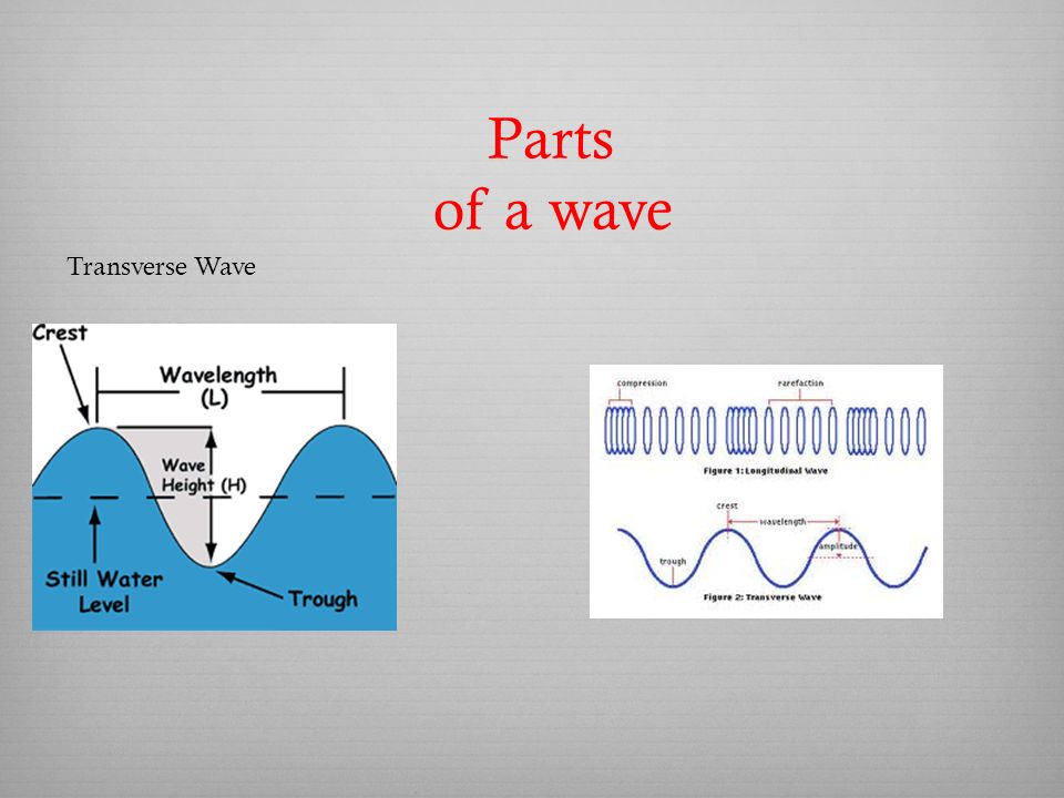 Parts of a wave Transverse Wave