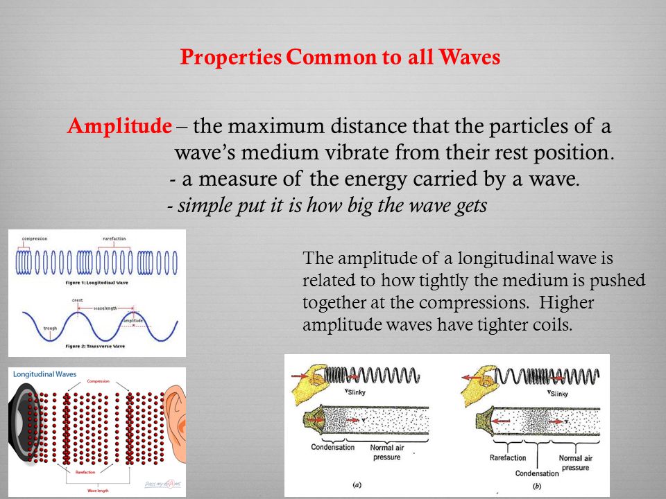 Properties Common to all Waves Amplitude – the maximum distance that the particles of a wave’s medium vibrate from their rest position.