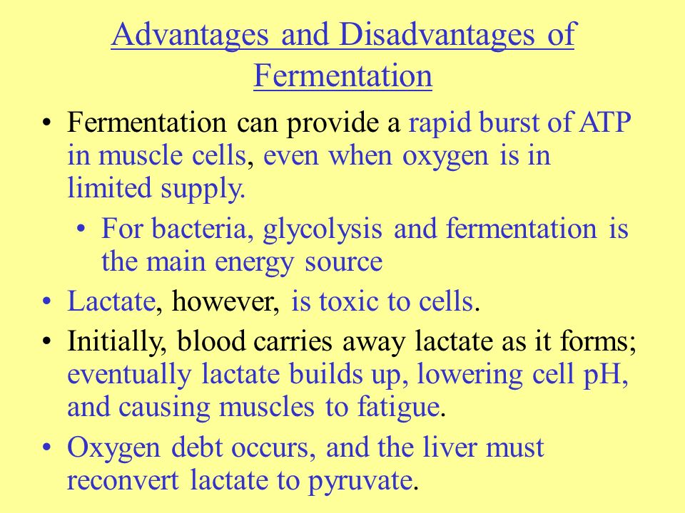 Advantages and Disadvantages of Fermentation Fermentation can provide a rapid burst of ATP in muscle cells, even when oxygen is in limited supply.
