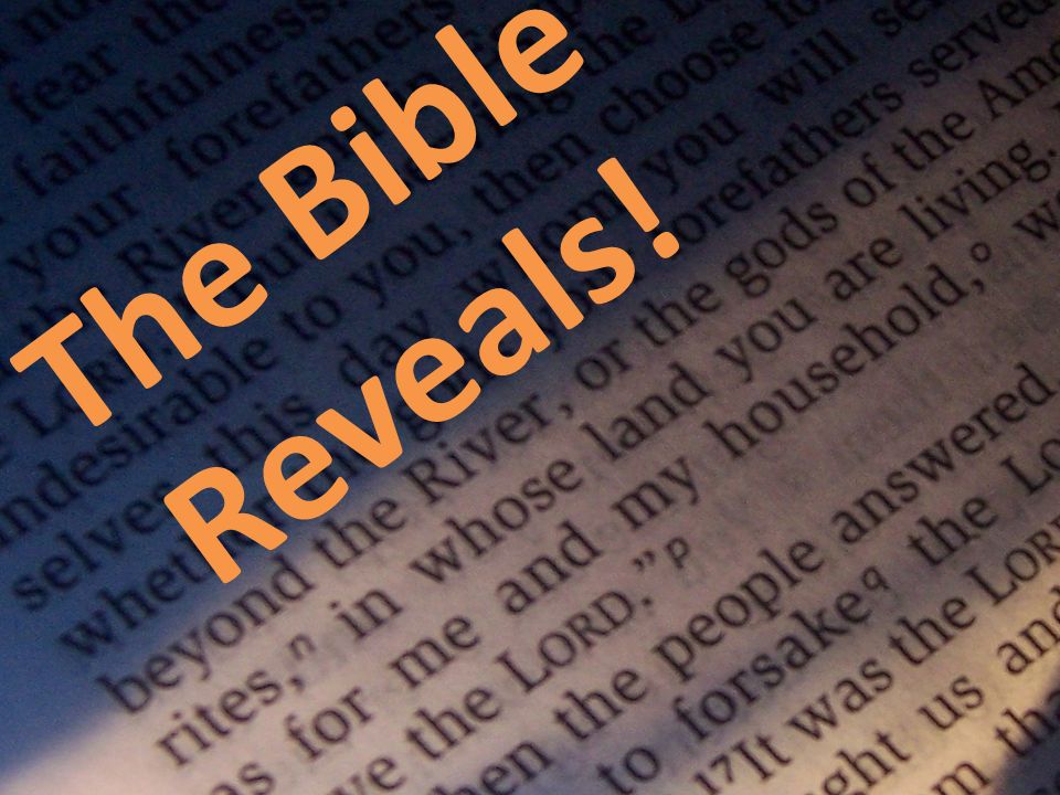 The Bible Reveals!