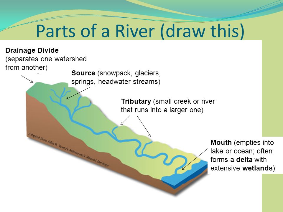 Река перевести на английский. Parts of the River. River structure. River Parts in English. Rivers примеры.