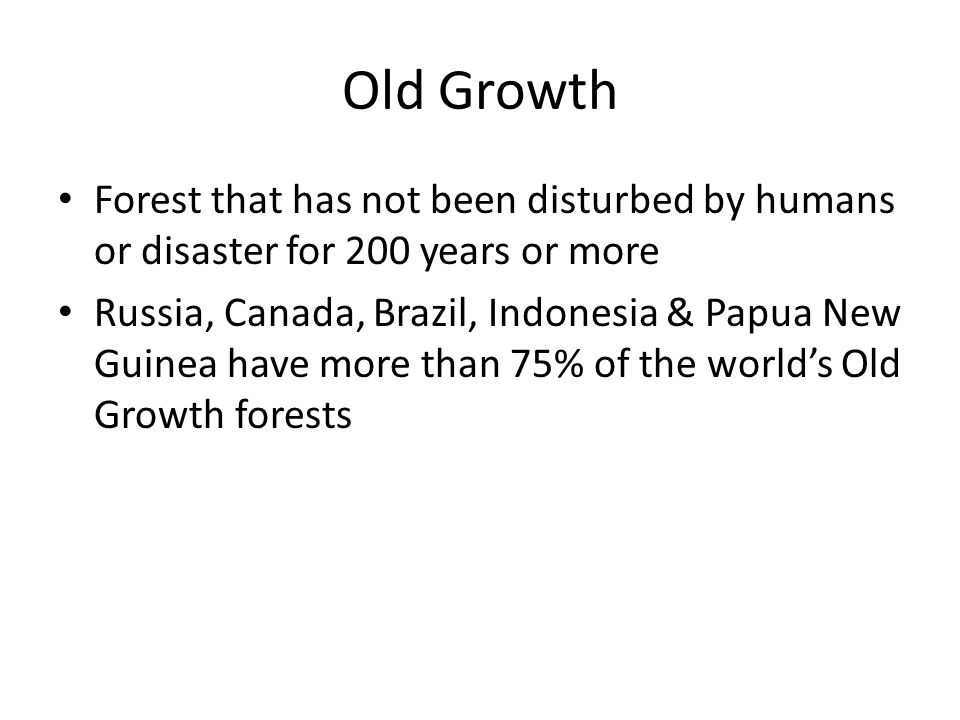 Old Growth Forest that has not been disturbed by humans or disaster for 200 years or more Russia, Canada, Brazil, Indonesia & Papua New Guinea have more than 75% of the world’s Old Growth forests