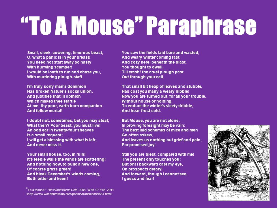 to a mouse poem summary