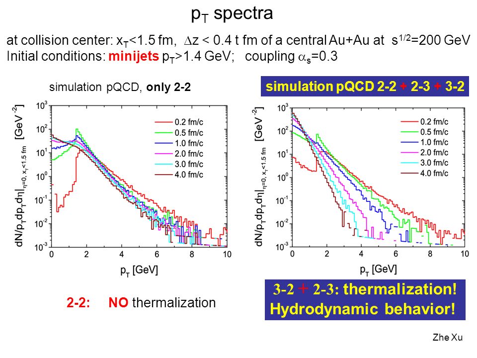 Zhe Xu : thermalization. Hydrodynamic behavior.
