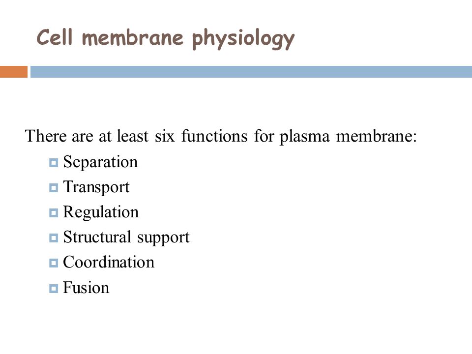 Cell membrane physiology There are at least six functions for plasma membrane:  Separation  Transport  Regulation  Structural support  Coordination  Fusion