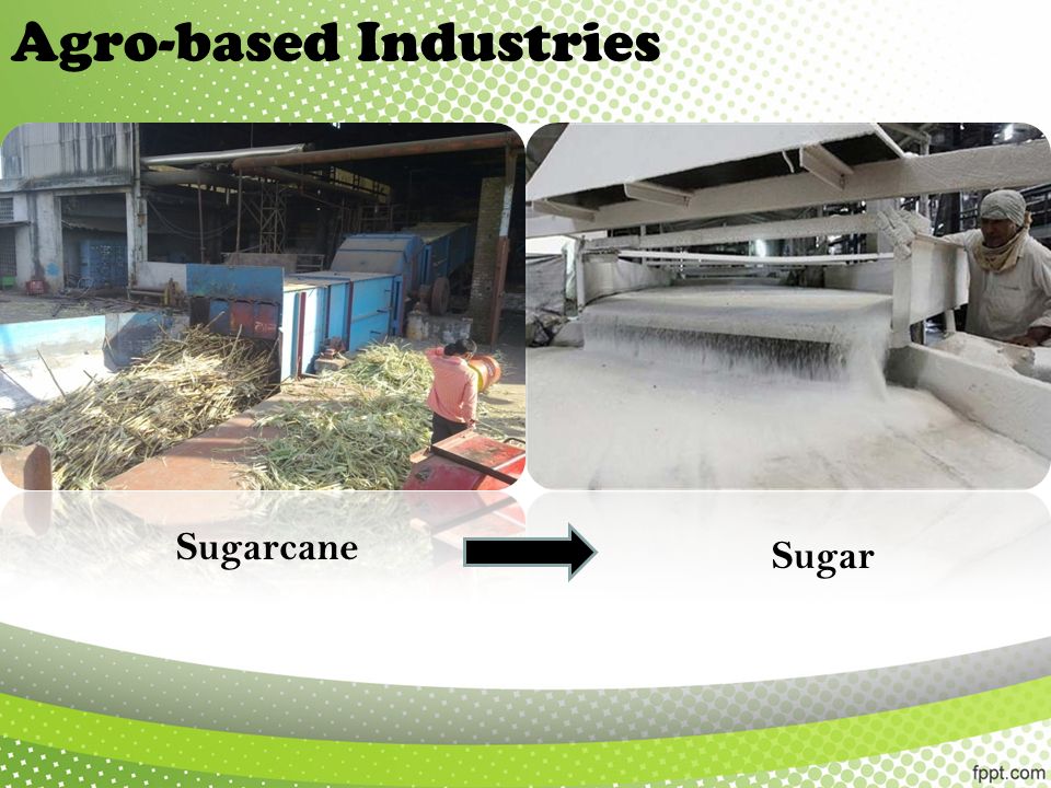 agro based and mineral based industries
