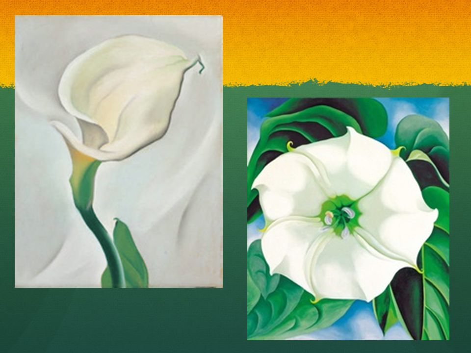 Georgia O’Keeffe Flower Paintings. O’Keeffe’s Flowers “When you take a ...