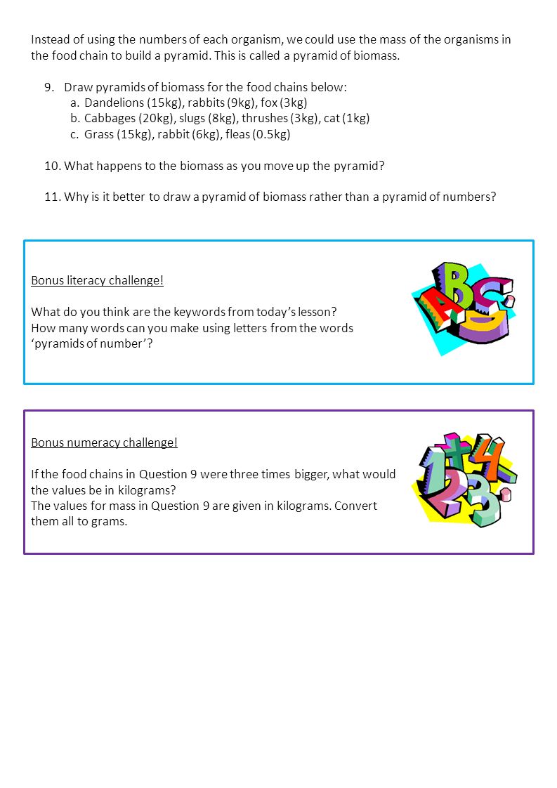 Task: make up three food chains, one of which is characteristic of the taiga, the second for mixed forests, and the third for Task: make up three food chains, one of which is characteristic of the taiga, the second for mixed forests, and the third for