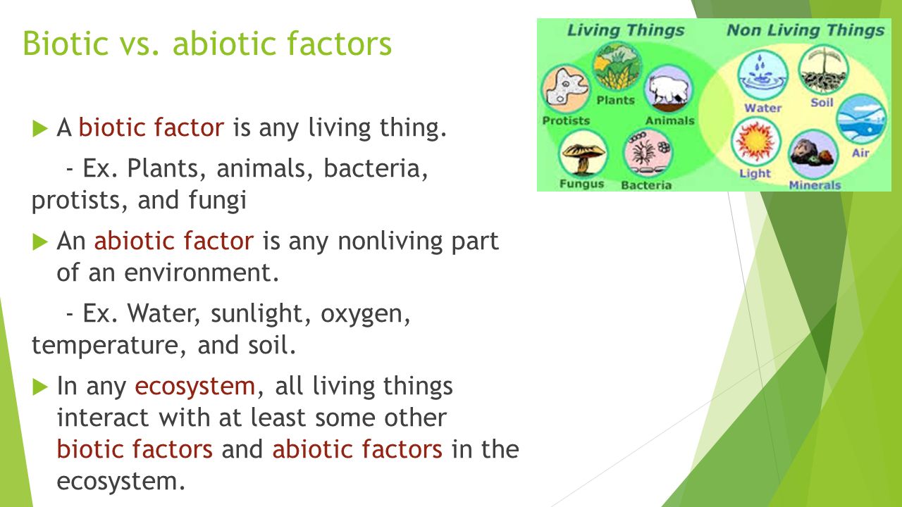 Biotic vs. abiotic factors ? 