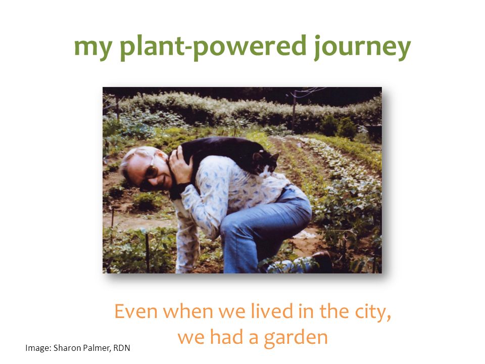 sharon Plamer power point- plant powered diet