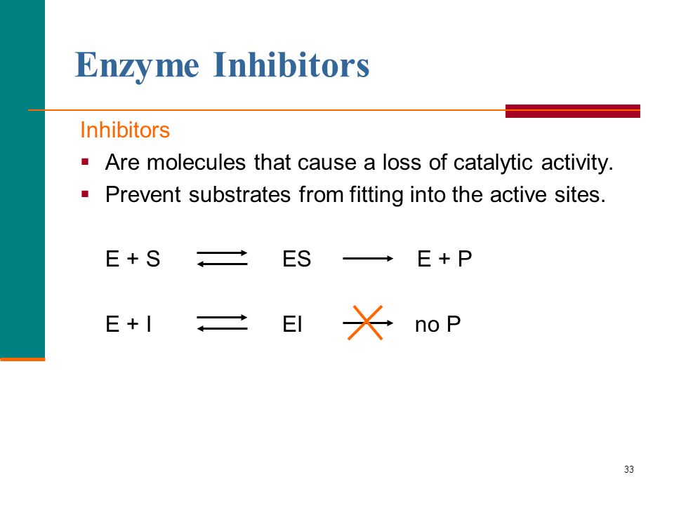 33 Inhibitors  Are molecules that cause a loss of catalytic activity.