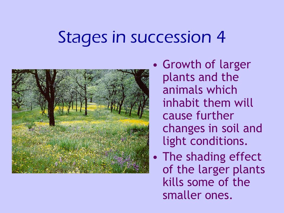Succession. A process by which communities of plants and animals colonise  an area and then, over time, are replaced by other, more varied organisms.  - ppt download