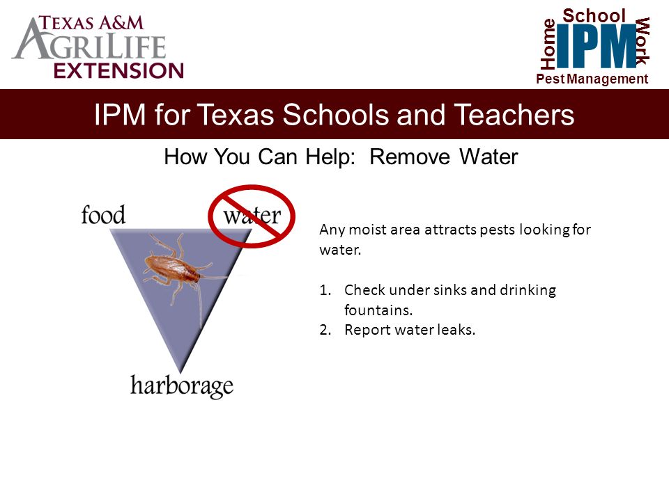 IPM for Texas Schools and Teachers Home Work IPM School Pest Management How You Can Help: Remove Water Any moist area attracts pests looking for water.