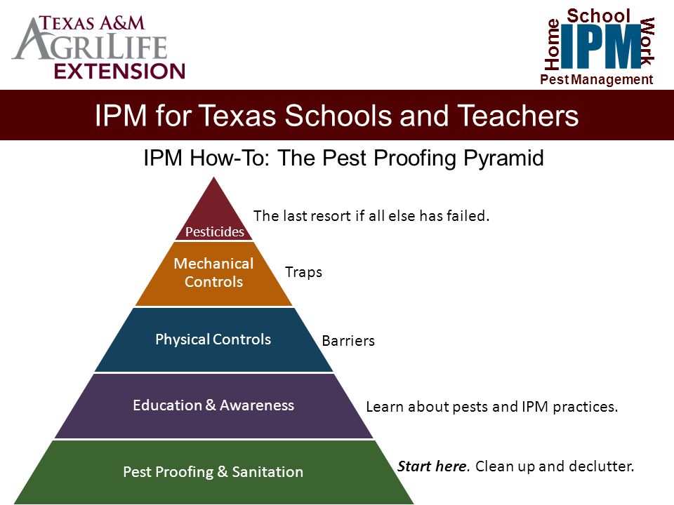 Image result for ipm in texas schools