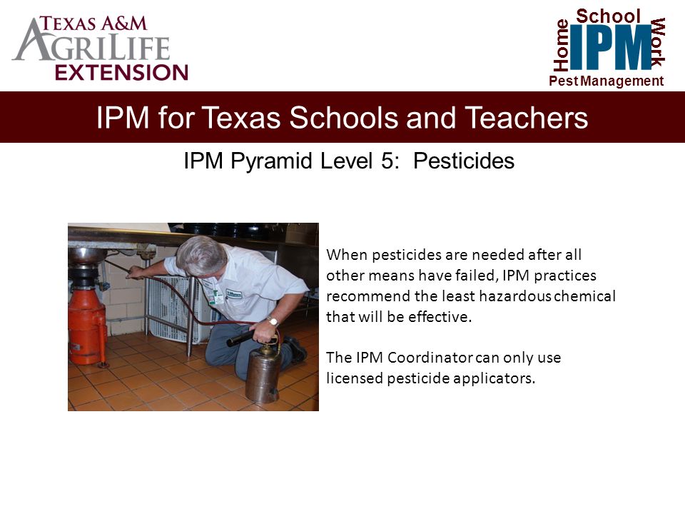 IPM for Texas Schools and Teachers Home Work IPM School Pest Management IPM Pyramid Level 5: Pesticides When pesticides are needed after all other means have failed, IPM practices recommend the least hazardous chemical that will be effective.